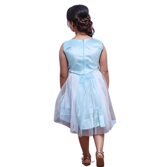 Cute_baby_girls_frock_for_birthday_and_festive_wear-backlook