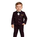 Young boy wearing a formal purple suit with a bow tie on a white background